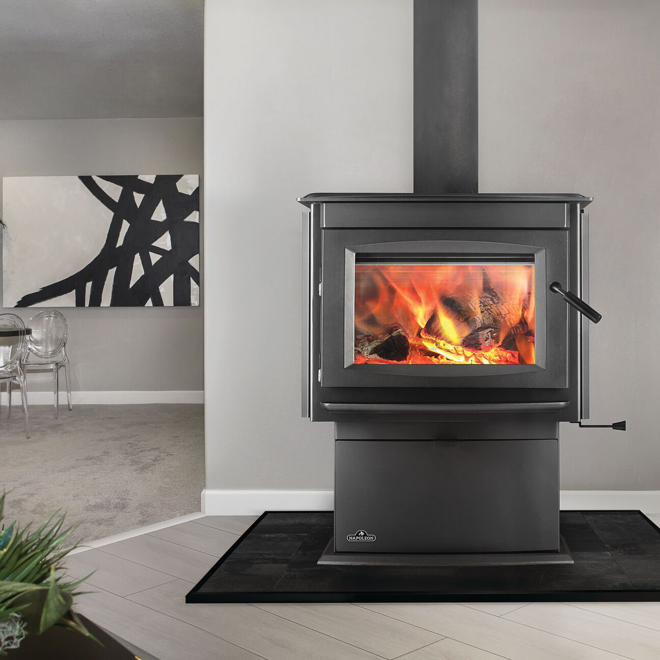 Napoleon S25 S-Series Wood Burning Stove