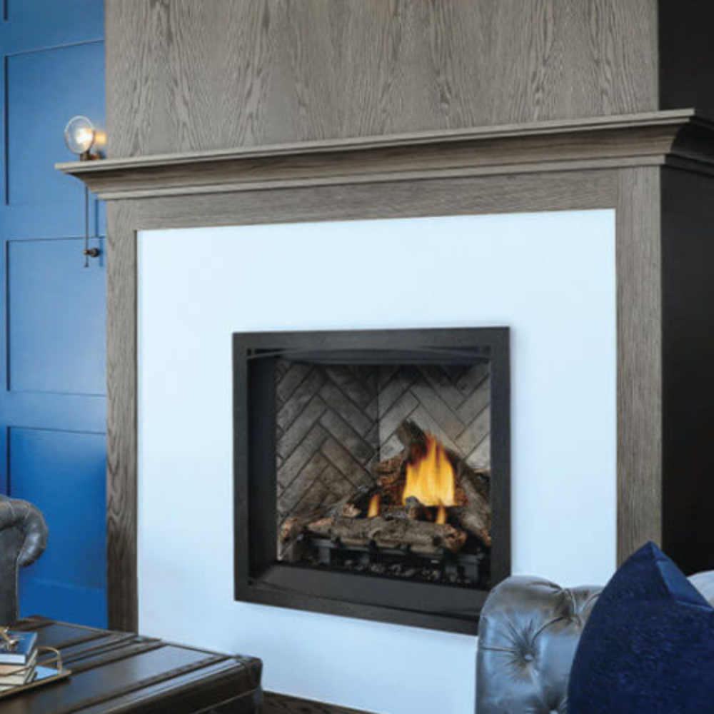 Napoleon Elevation Series Direct Vent Gas Fireplace