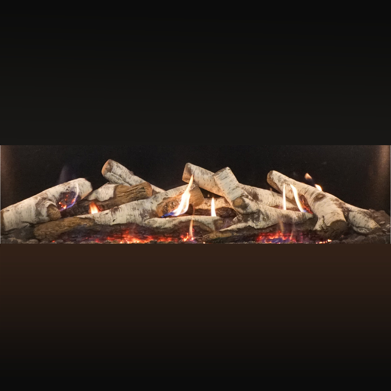 Empire LS60LBF Burncrete Birch Log Set