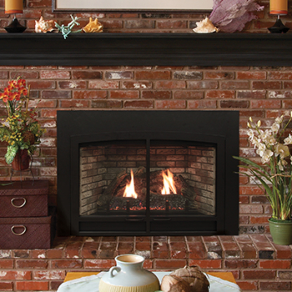 Empire DVC26IN31P Innsbrook DV Clean Face Medium Propane Fireplace Insert w/Millivolt Control & Log Set and Blower