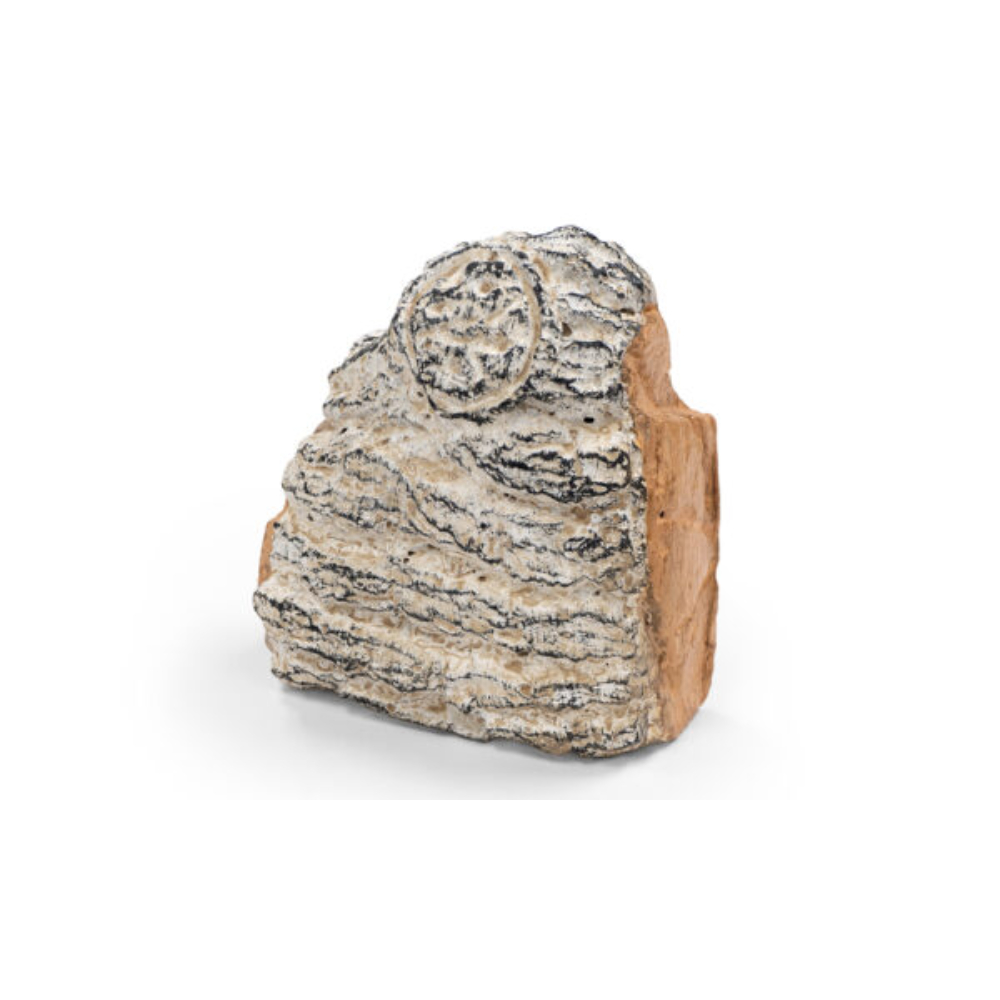 RealFyre WCAB-1 Charred Birch Decorative Wood Chunk