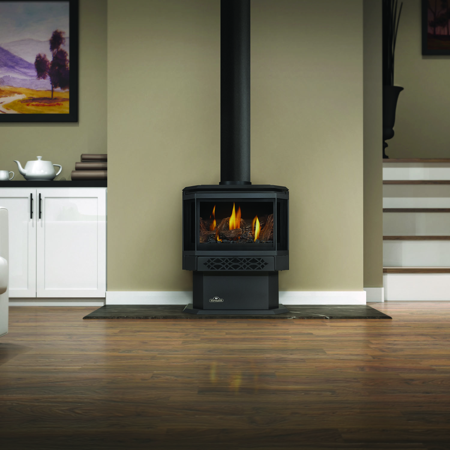 Napoleon GDS28-1NEA Haliburton Direct Vent Natural Gas Stove w/Alternate Electronic Ignition