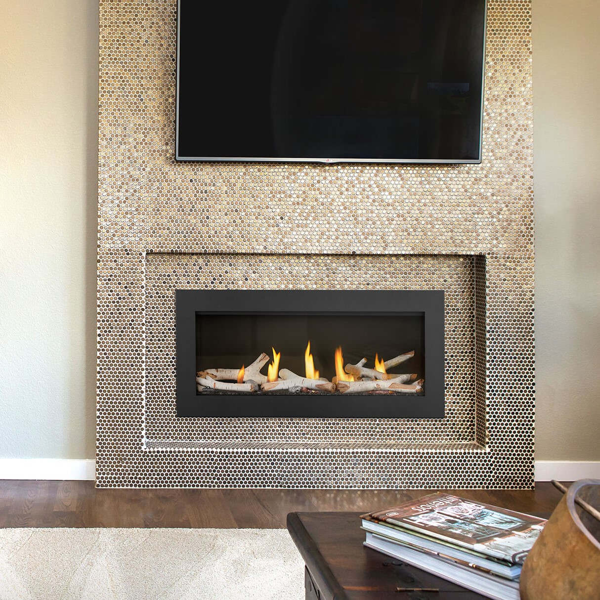Napoleon Acies Direct Vent Linear Gas Fireplace