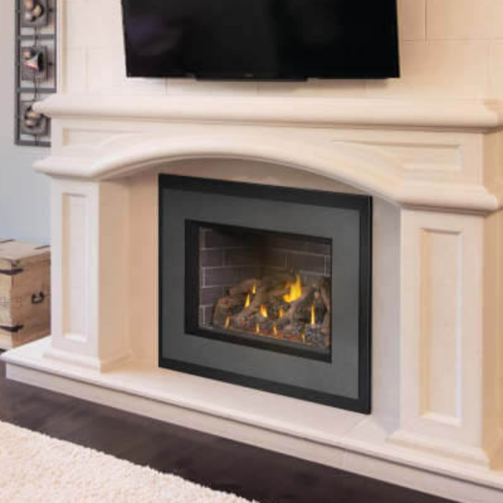 Napoleon Oakville X4 Direct Vent Gas Insert
