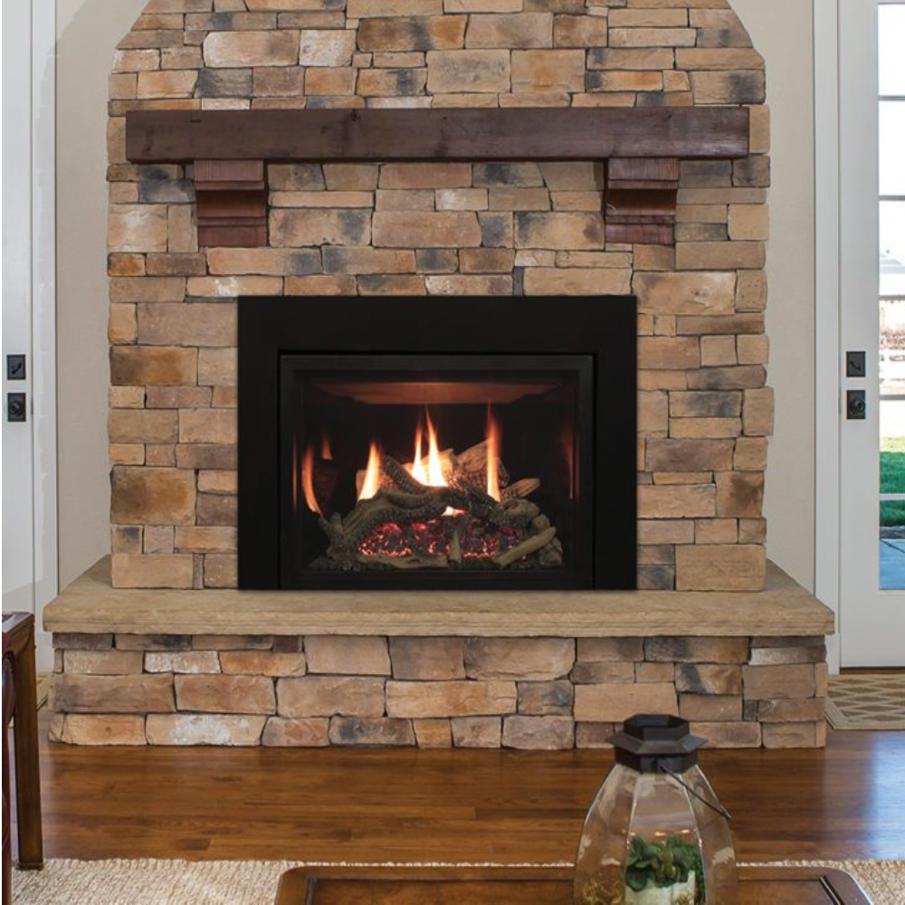 Empire DVCT30CBN95P Rushmore 30" DV Propane Fireplace Insert w/TrueFlame Tech