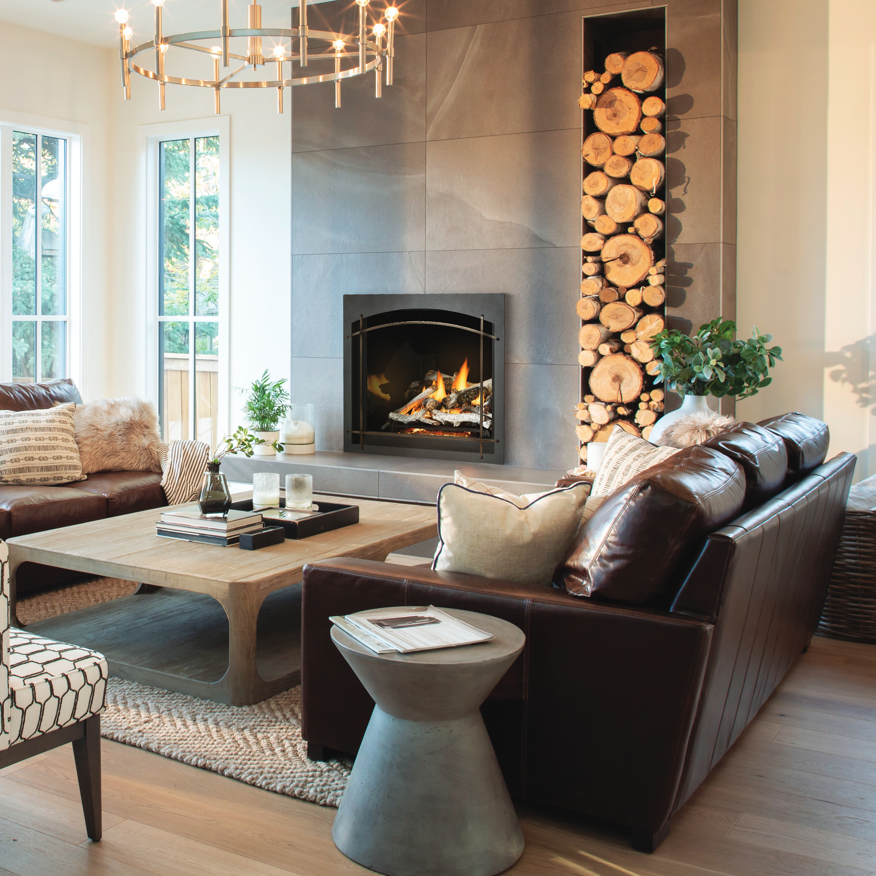 Napoleon Elevation X Series Direct Vent Gas Fireplace