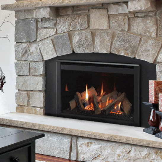 Majestic RUBY25IN Ruby 25" DV Nat-Gas Insert W/ Intellifire