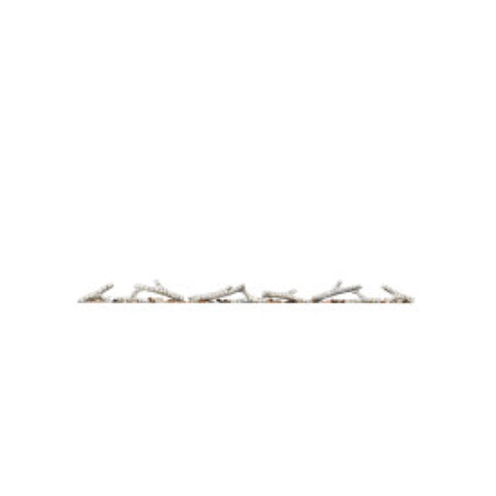 Napoleon NEF-BLRAK60 Birch Log Kit with Rocks for Entice 60