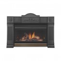 Napoleon Roxbury 3600 Gas Fireplace Insert